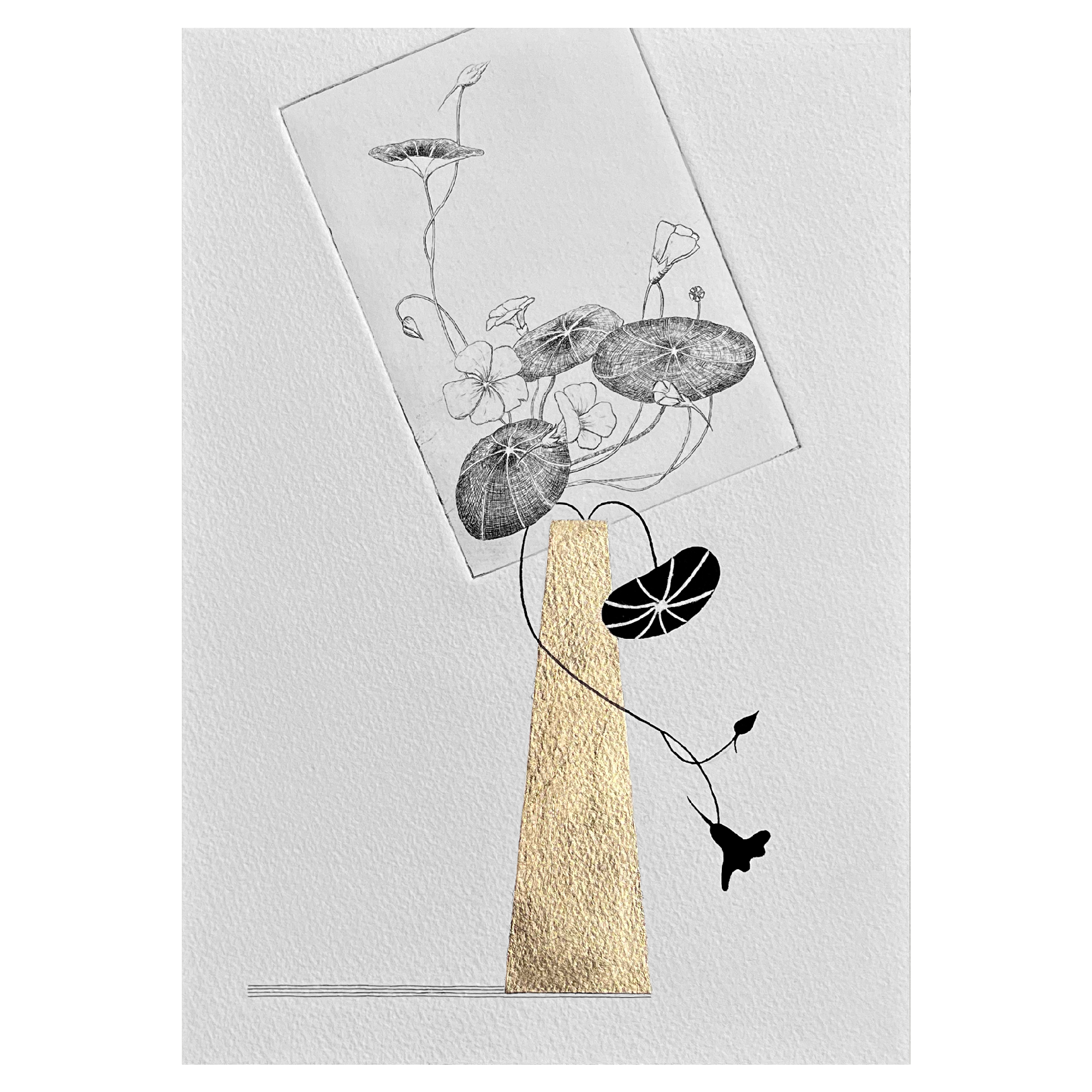 Nasturtium_10_full