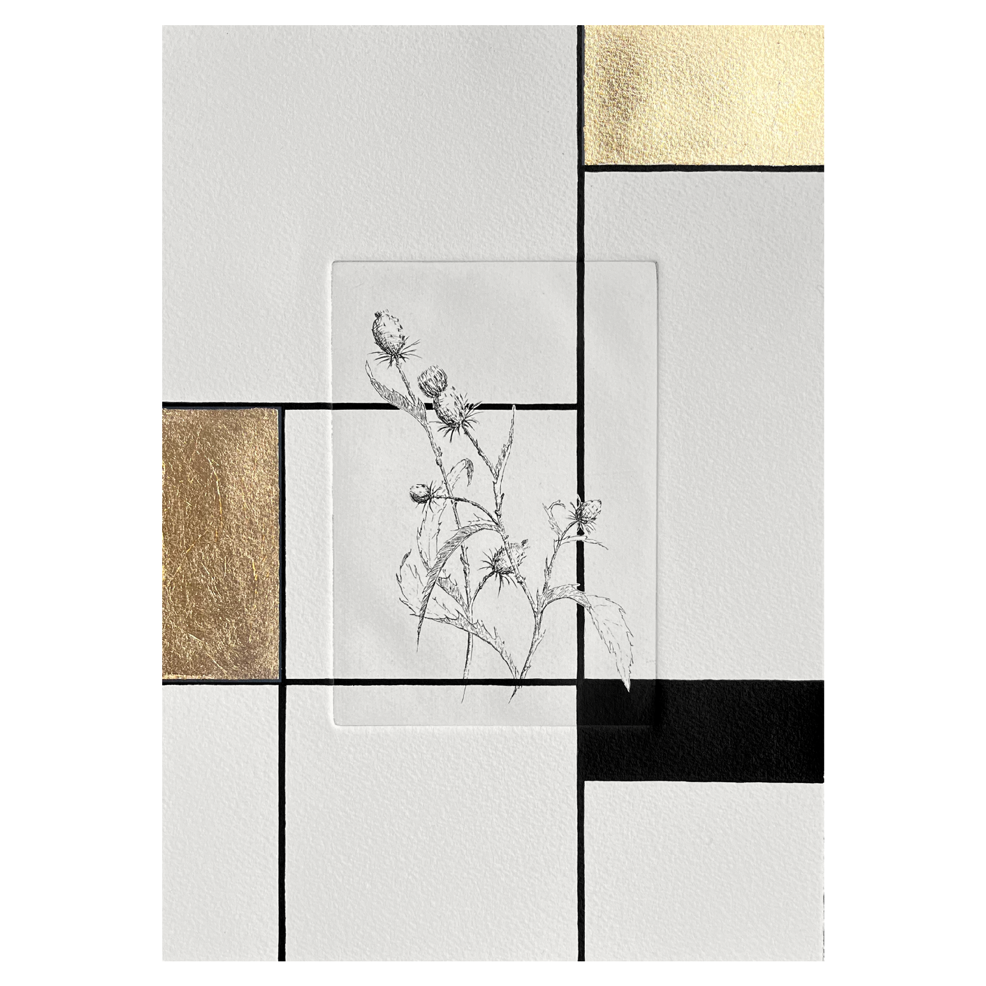 Nasturtium_4_full